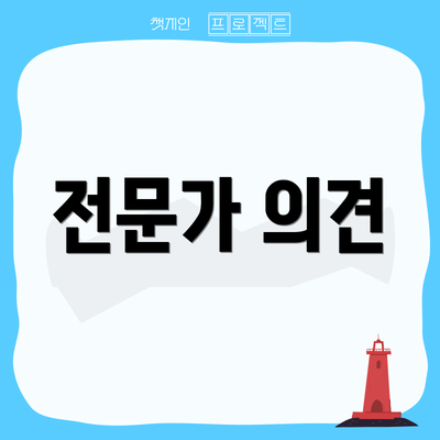 전문가 의견