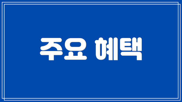주요 혜택