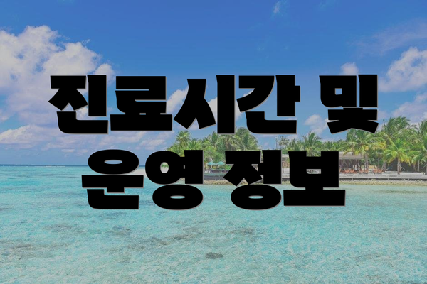 진료시간 및 운영 정보