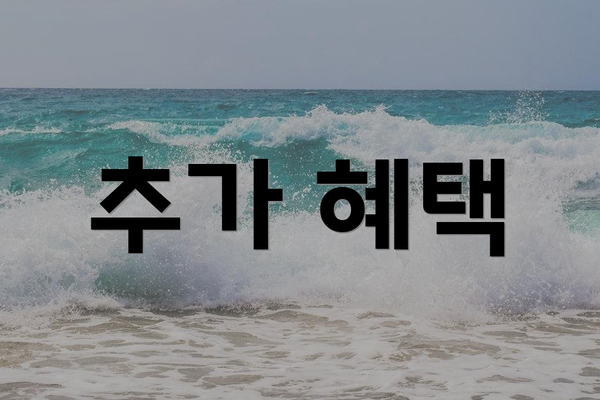 추가 혜택