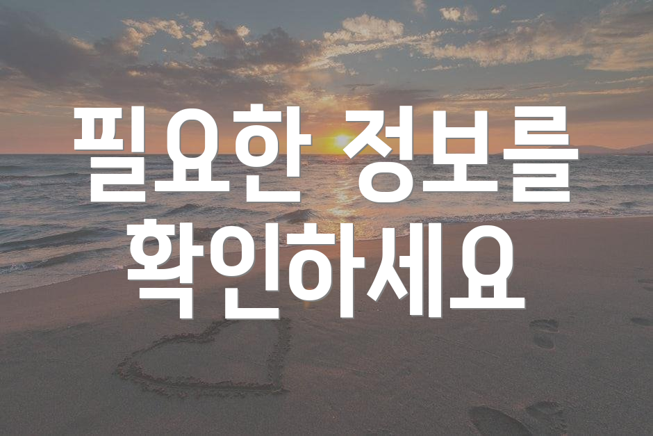 필요한 정보를 확인하세요