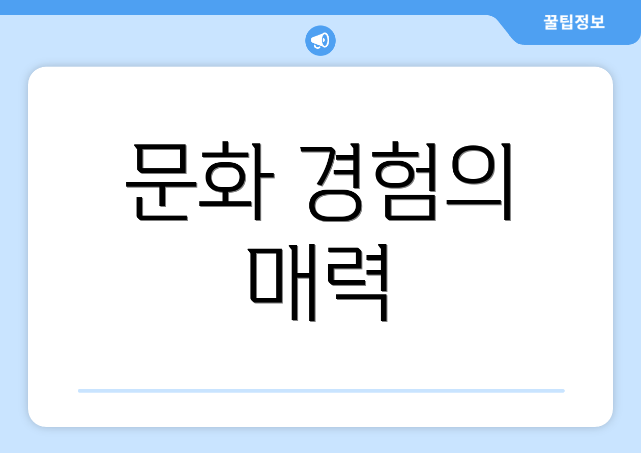 문화 경험의 매력