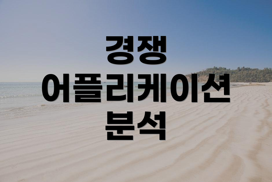 경쟁 어플리케이션 분석