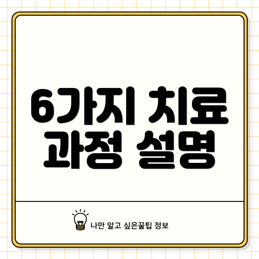 6가지 치료 과정 설명