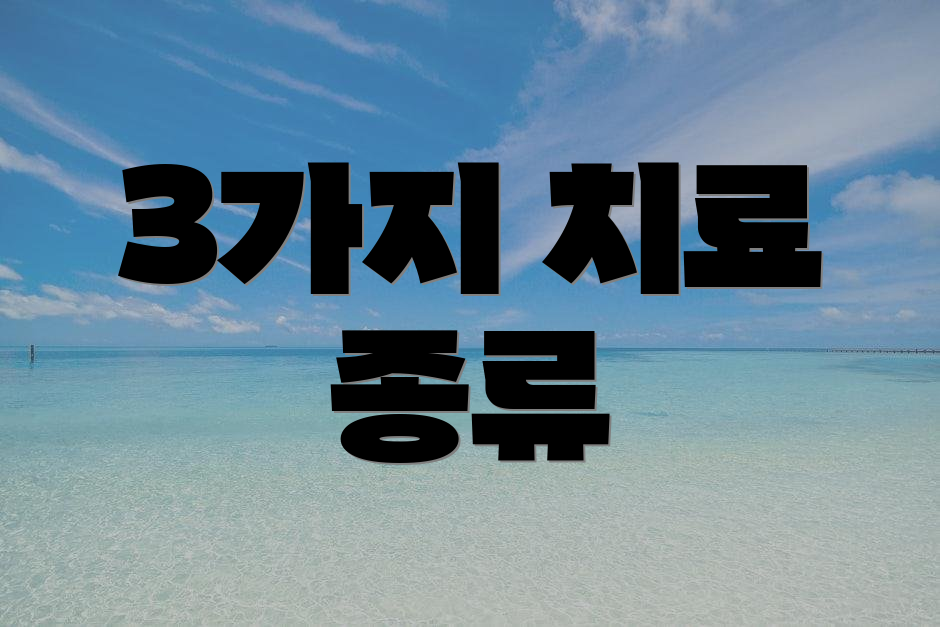 3가지 치료 종류
