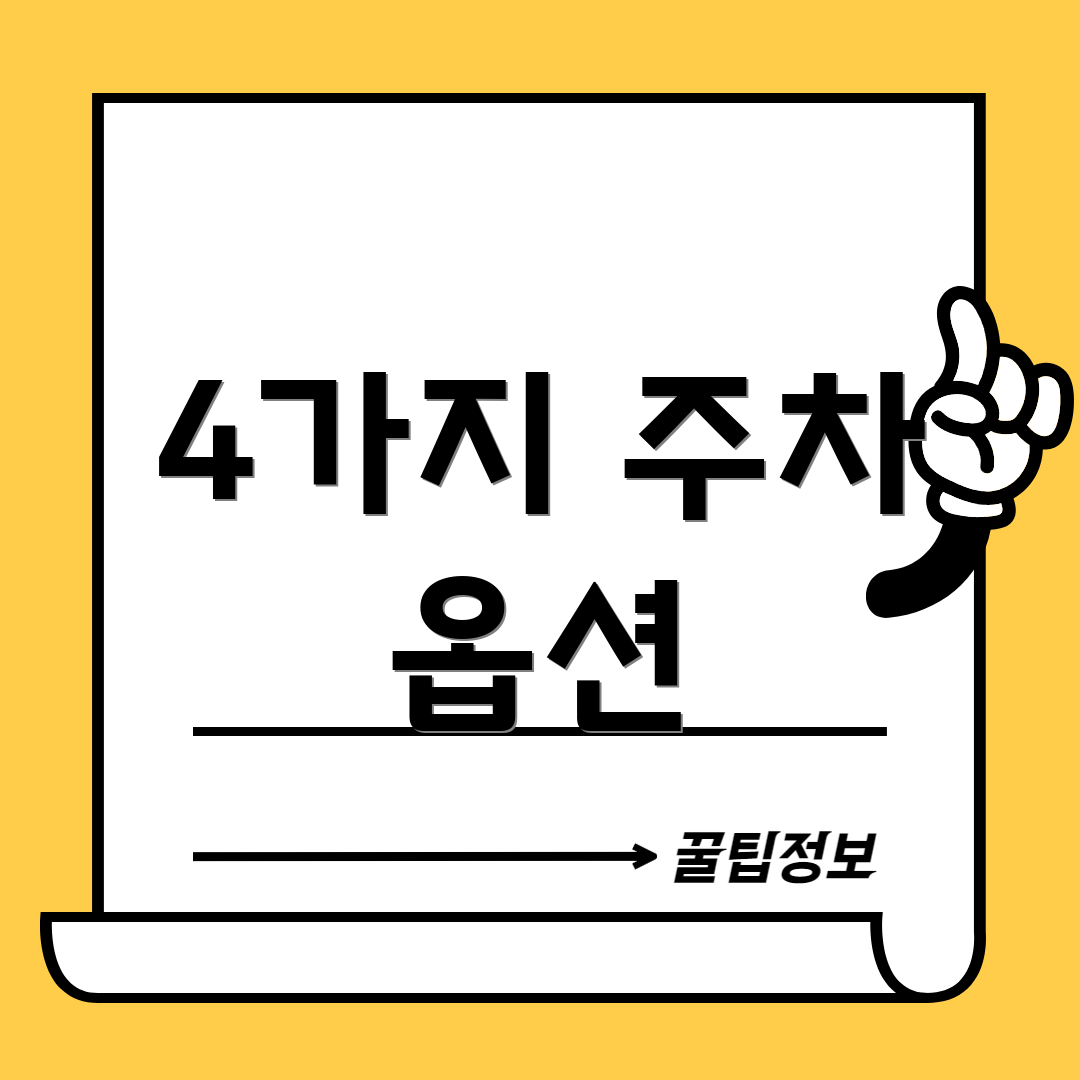 4가지 주차 옵션