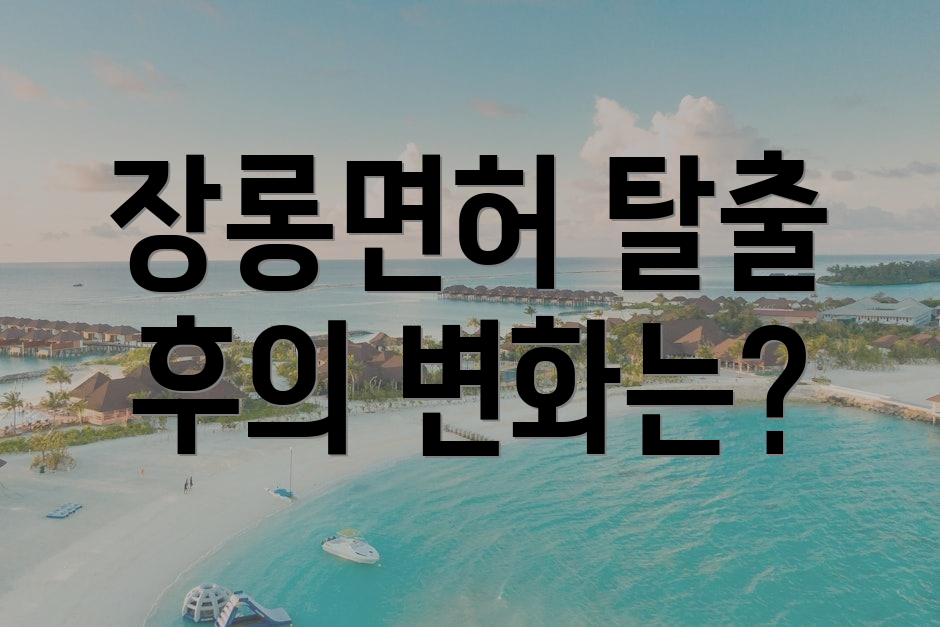장롱면허 탈출 후의 변화는?