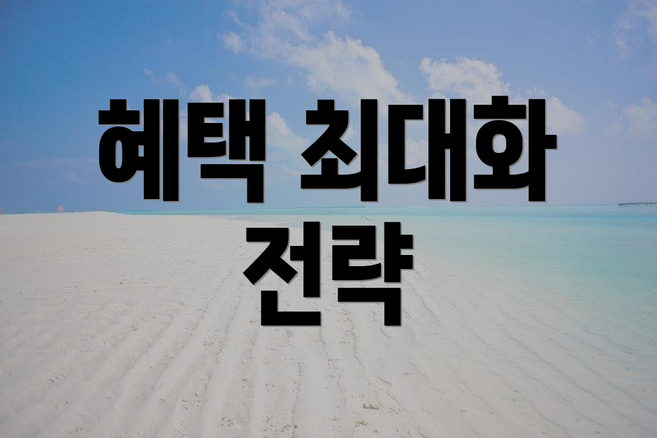 혜택 최대화 전략