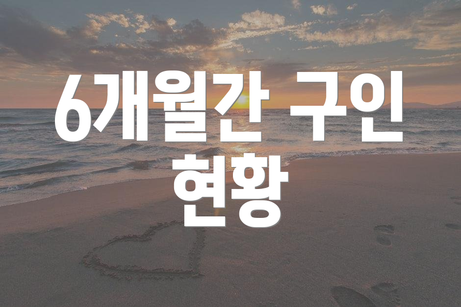 6개월간 구인 현황