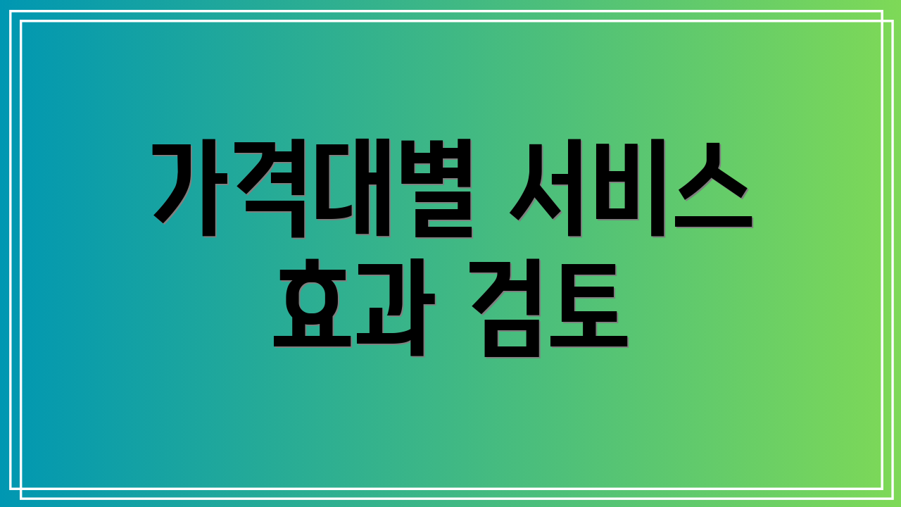 가격대별 서비스 효과 검토