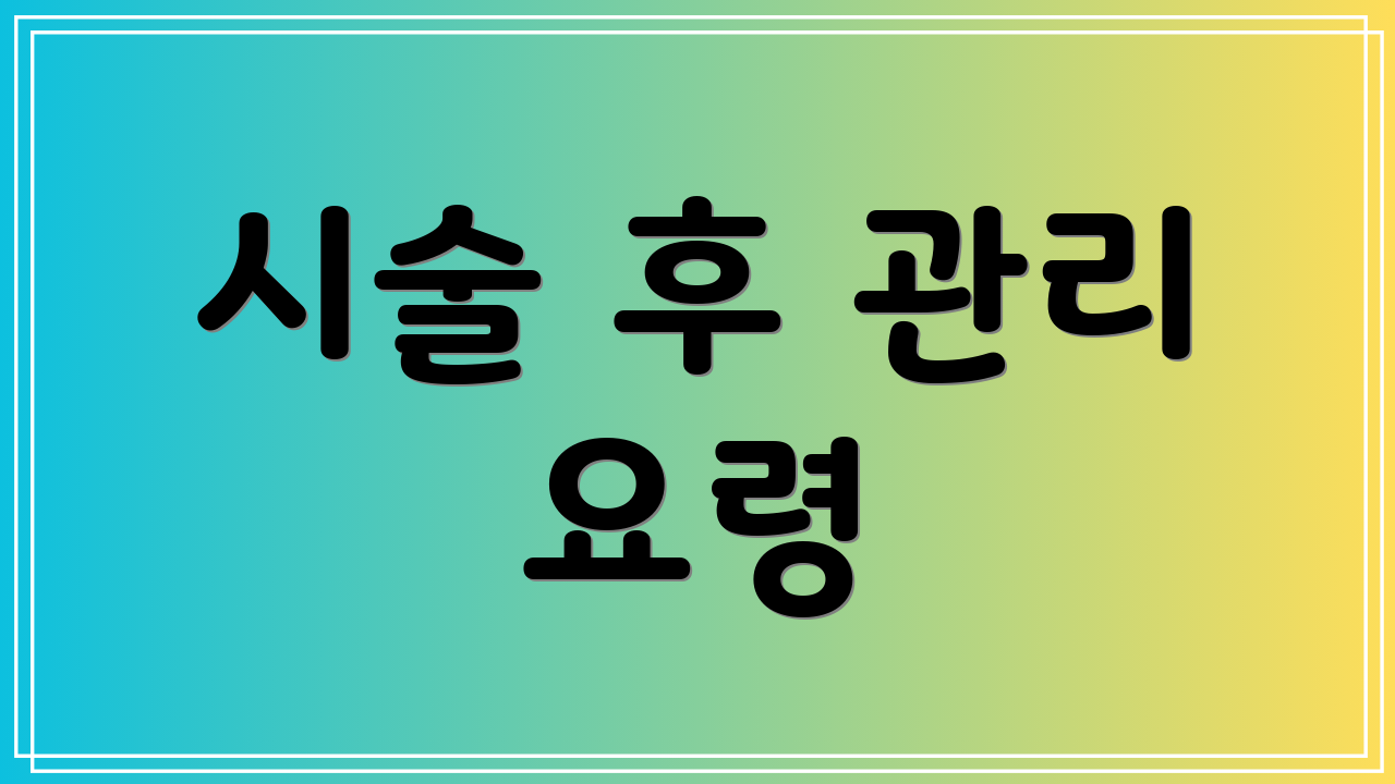 시술 후 관리 요령