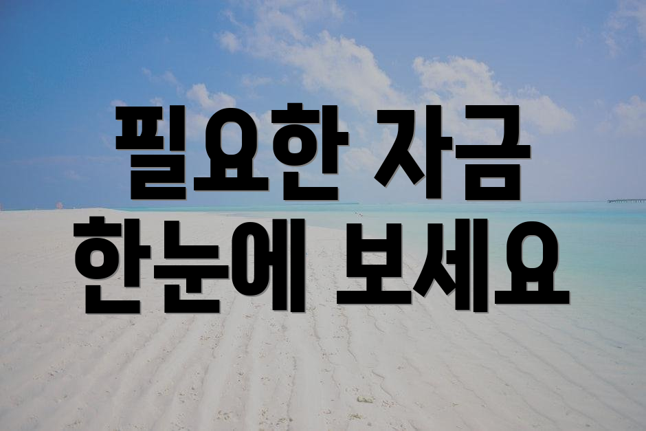 필요한 자금 한눈에 보세요