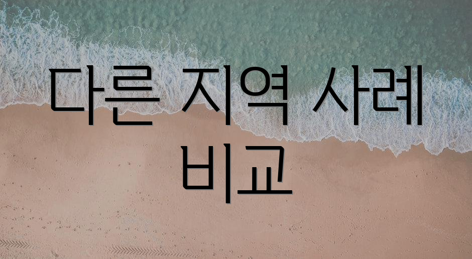 다른 지역 사례 비교