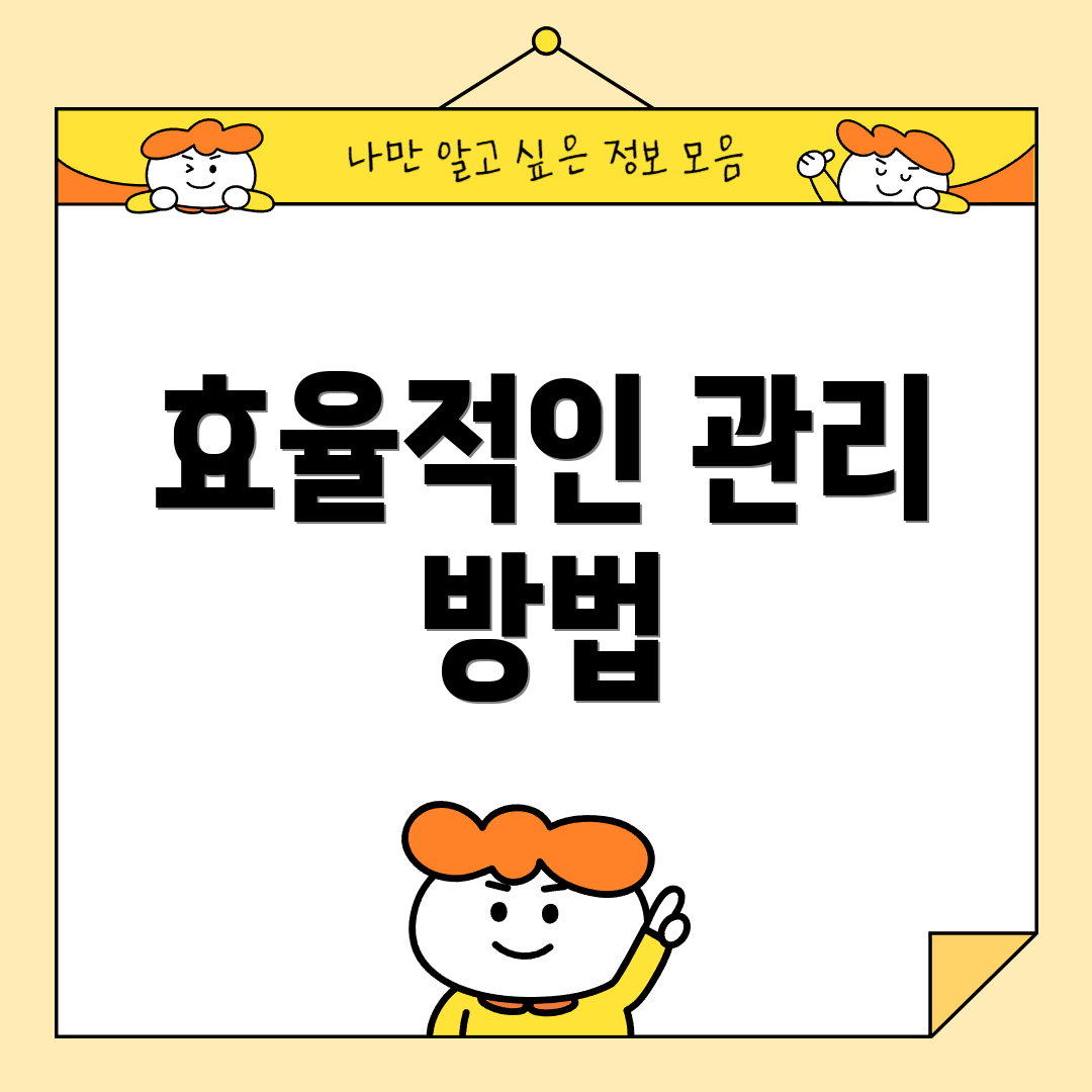 효율적인 관리 방법