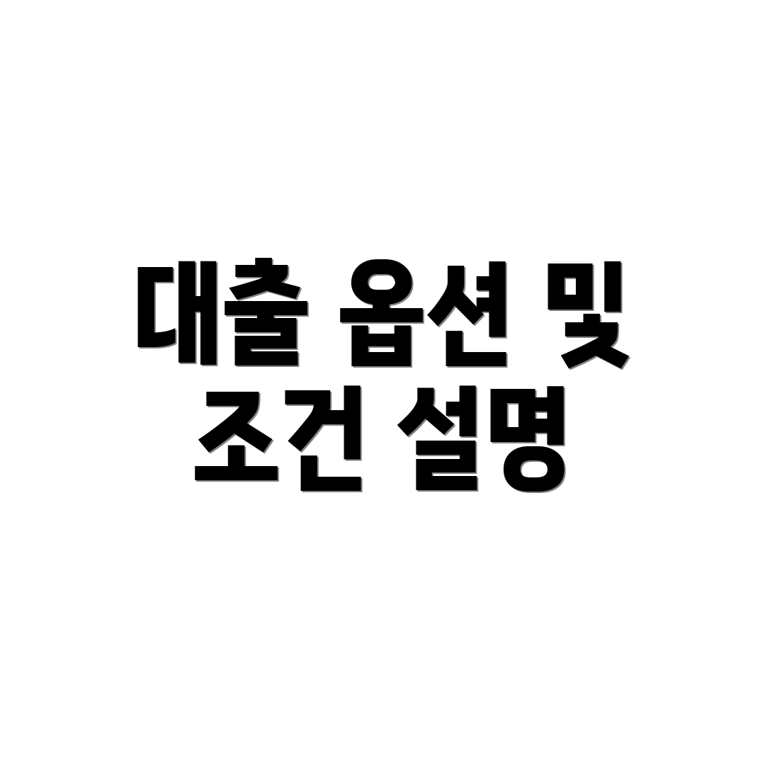 대출 옵션 및 조건 설명