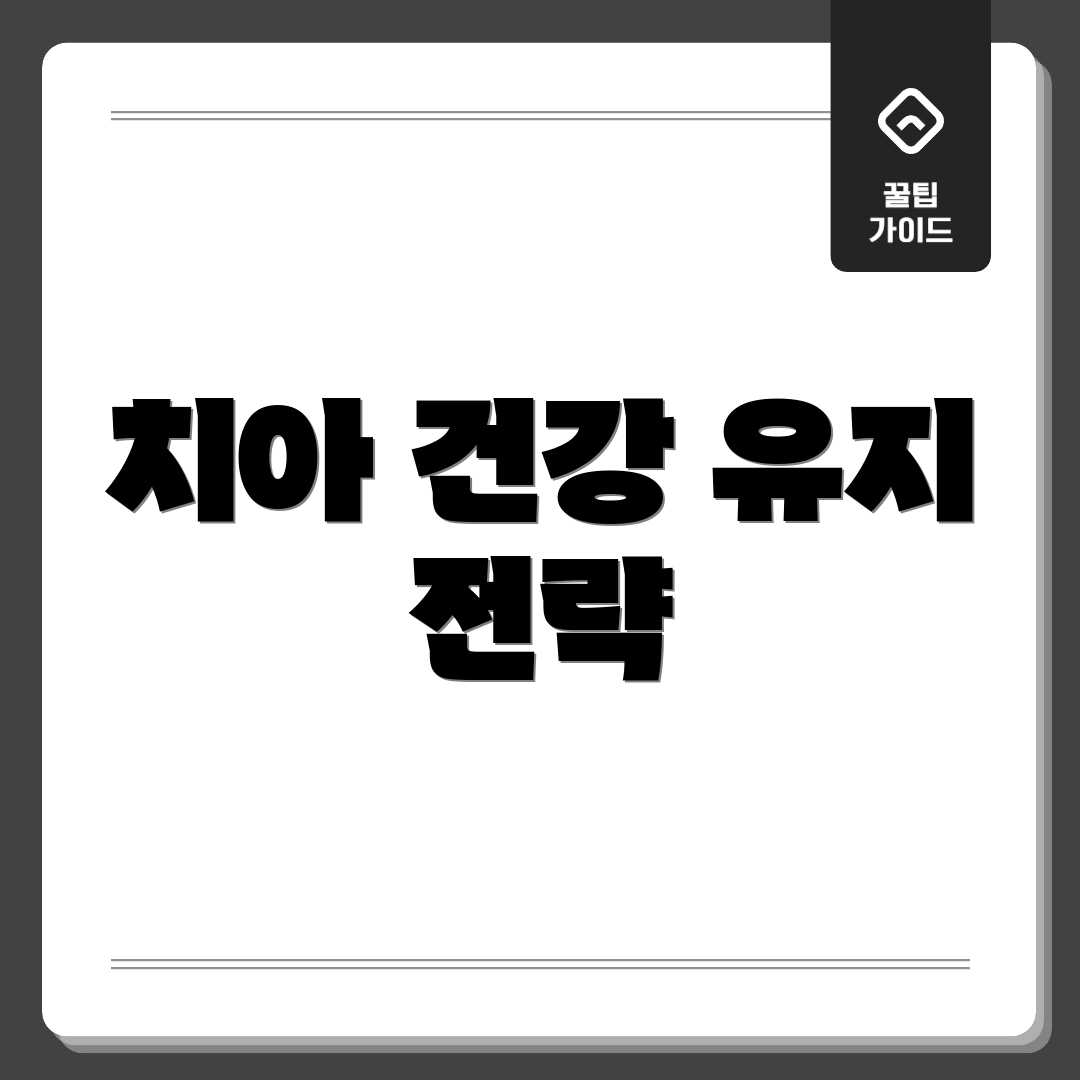 치아 건강 유지 전략