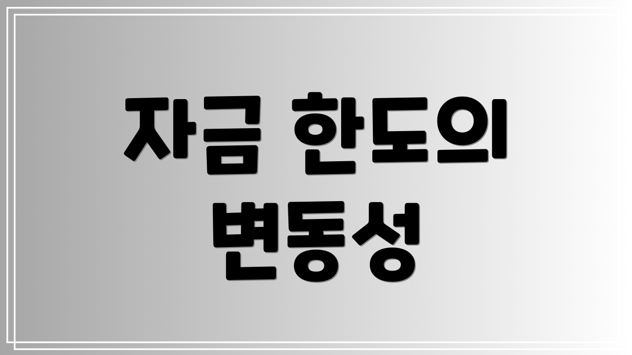 자금 한도의 변동성