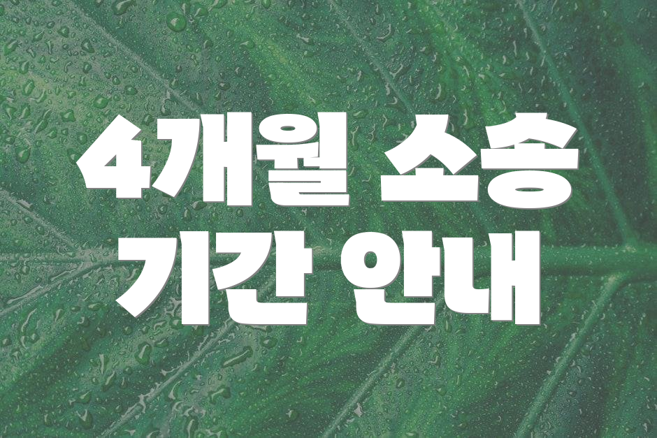 4개월 소송 기간 안내