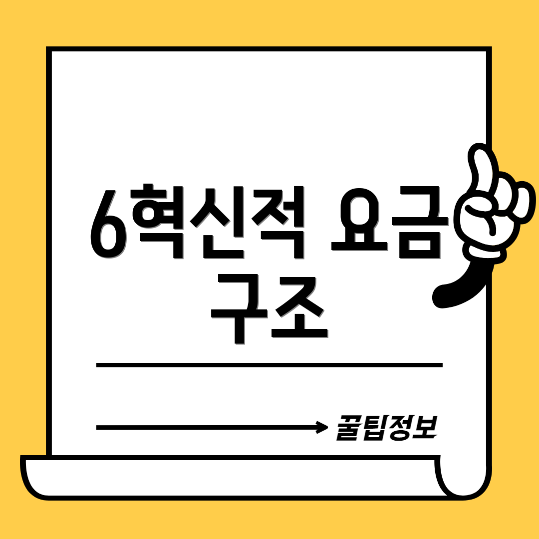 6혁신적 요금 구조