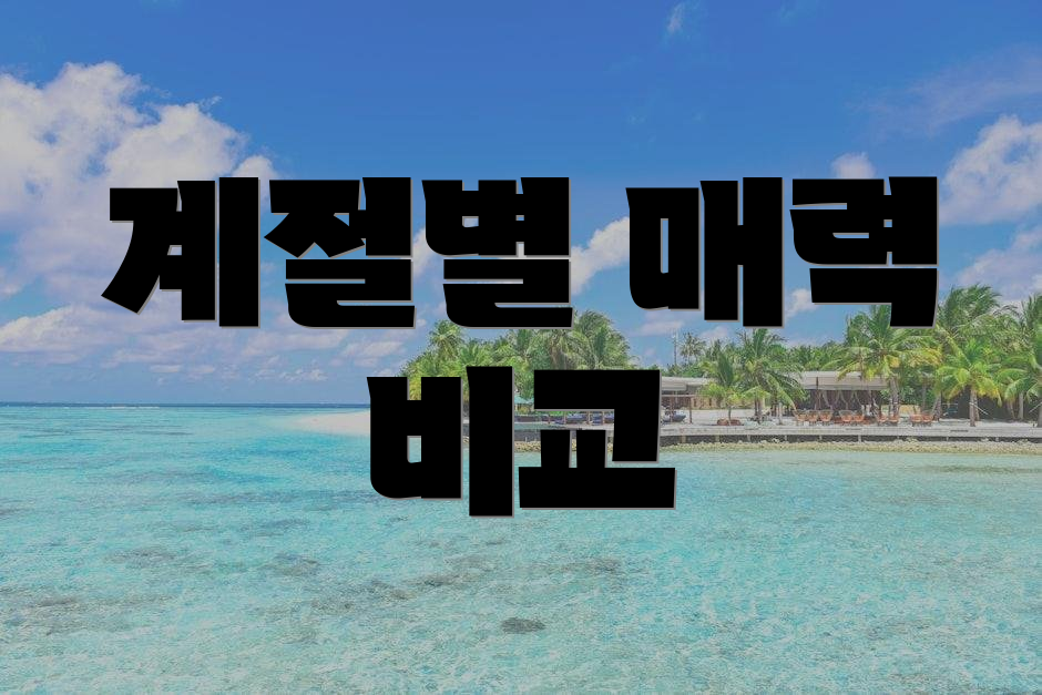 계절별 매력 비교