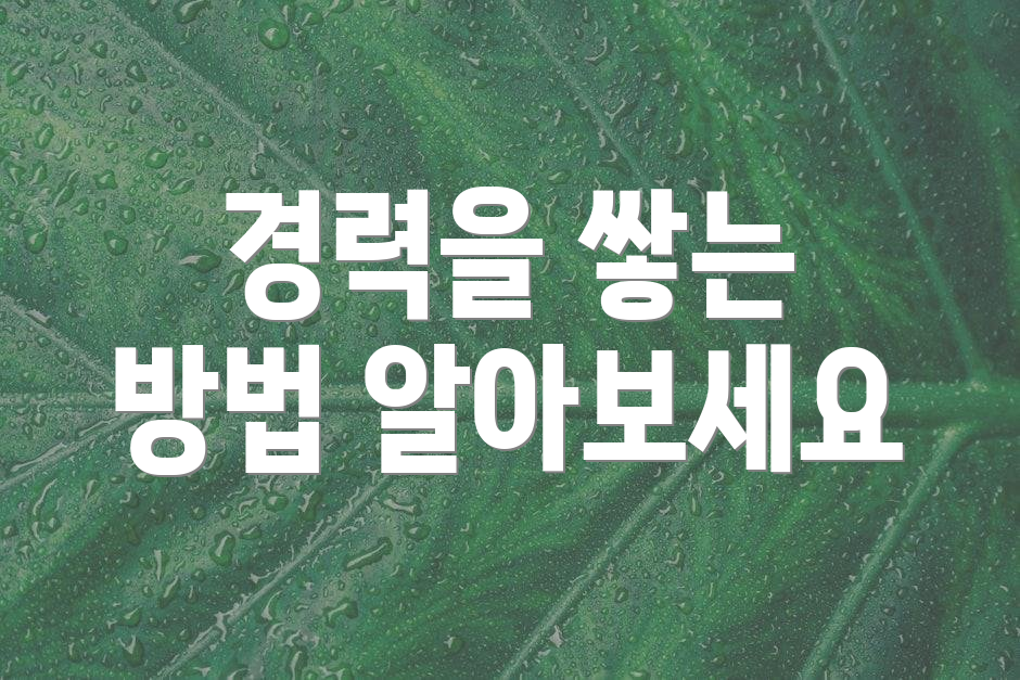 경력을 쌓는 방법 알아보세요