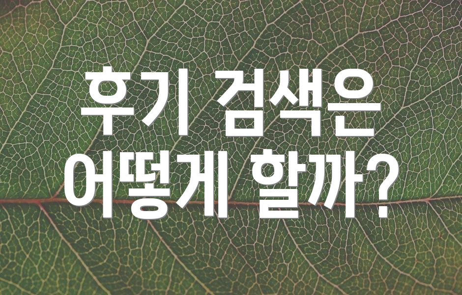 후기 검색은 어떻게 할까?