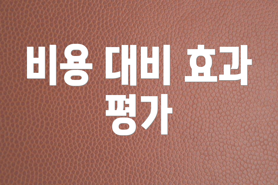 비용 대비 효과 평가