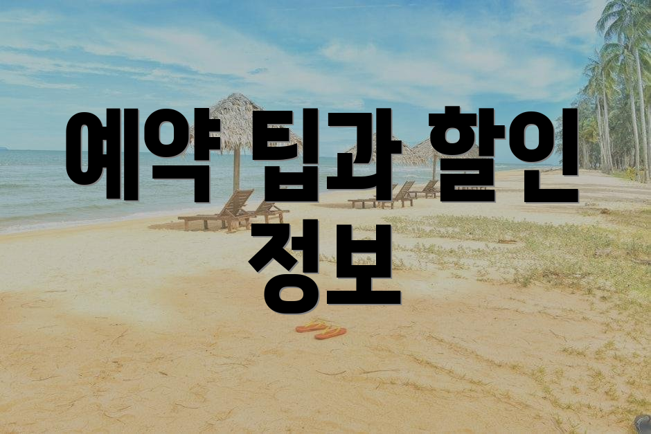 예약 팁과 할인 정보