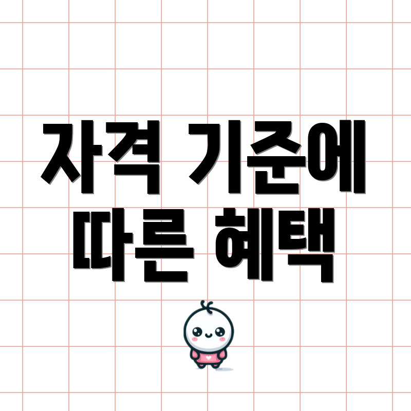 자격 기준에 따른 혜택