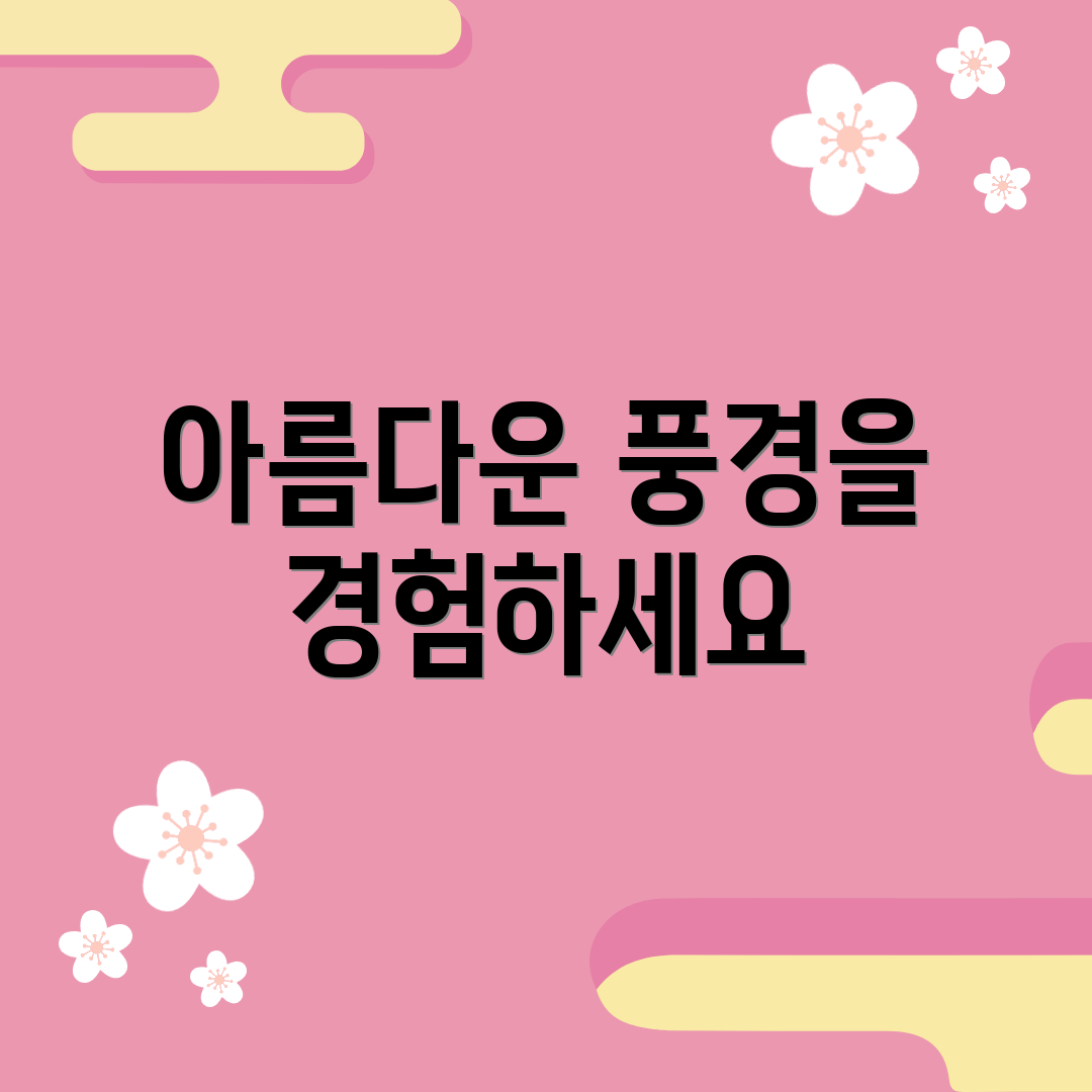 아름다운 풍경을 경험하세요