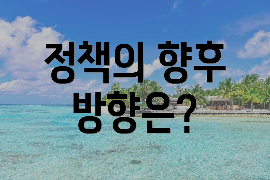 정책의 향후 방향은?