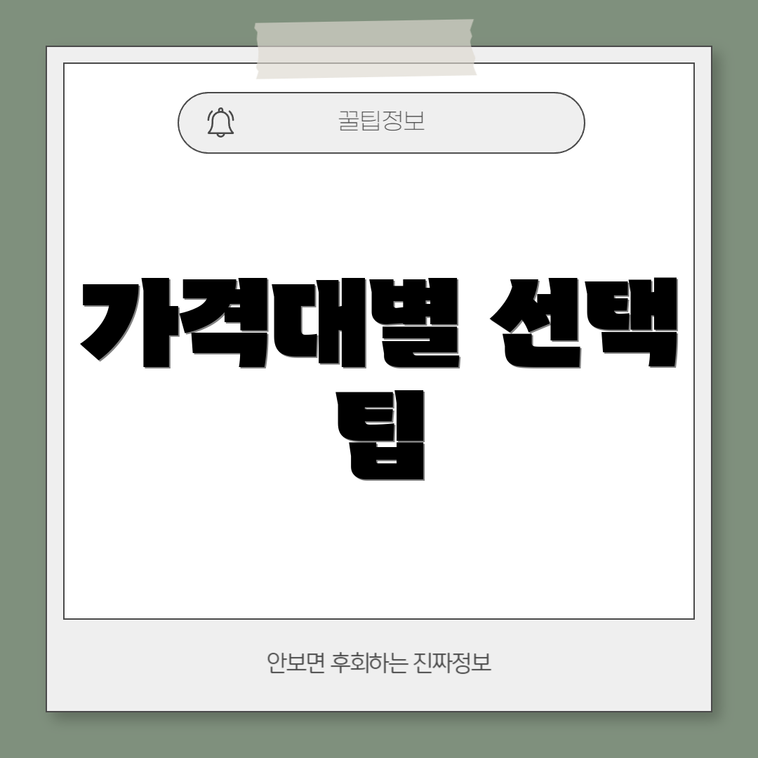 가격대별 선택 팁