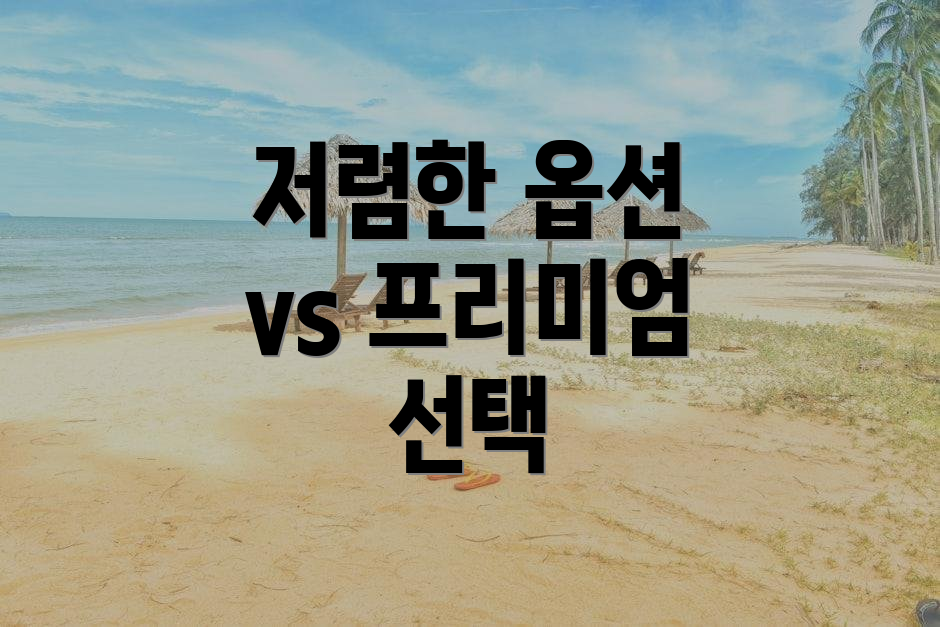 저렴한 옵션 vs 프리미엄 선택