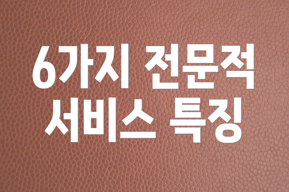 6가지 전문적 서비스 특징