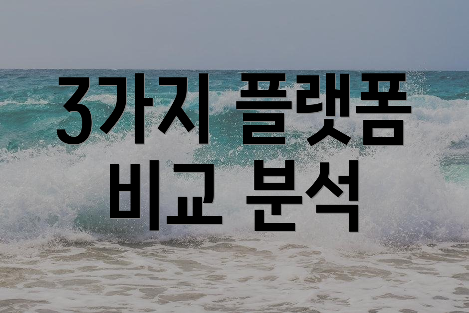 3가지 플랫폼 비교 분석