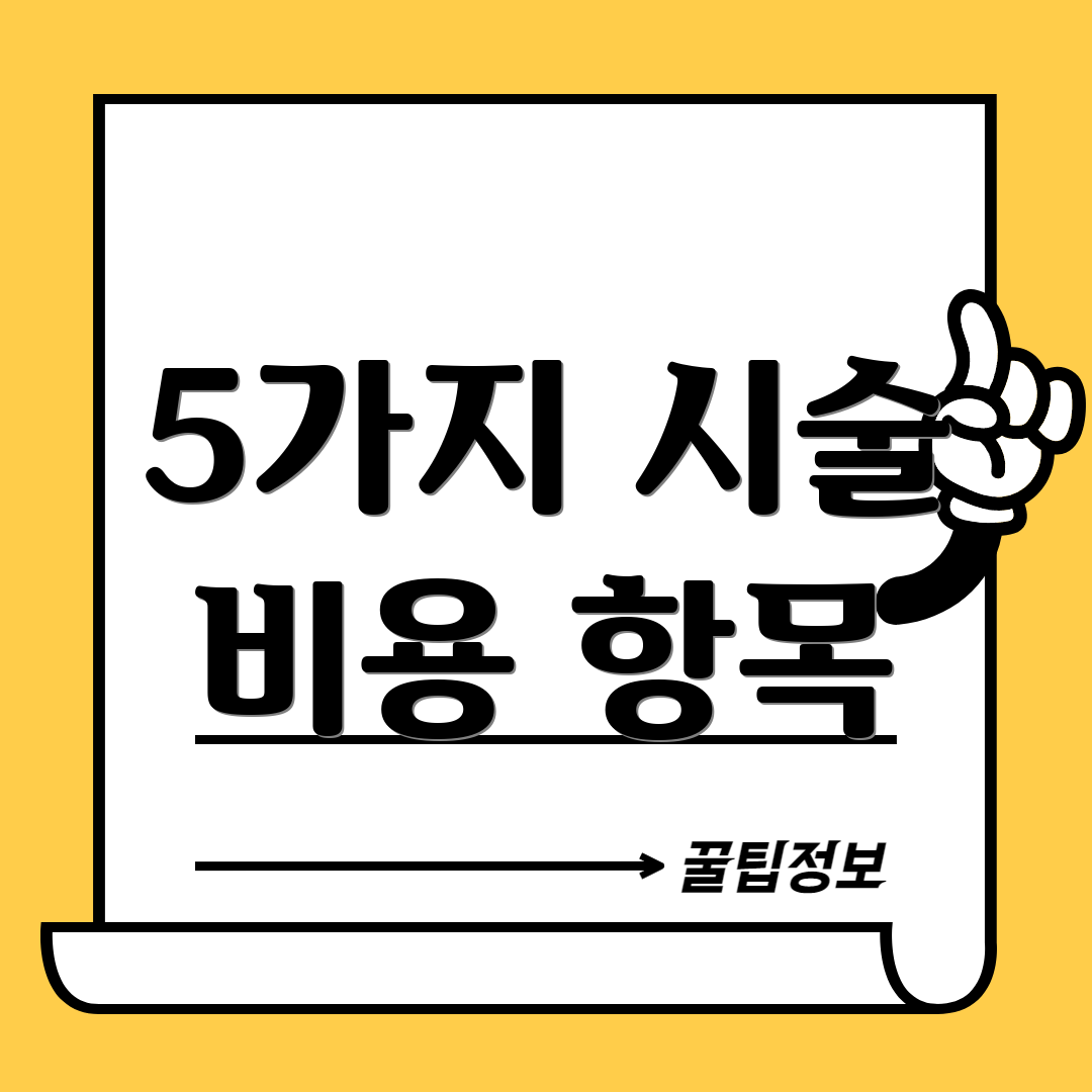 5가지 시술 비용 항목