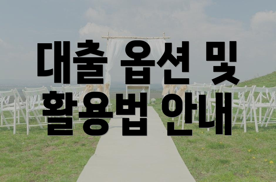 대출 옵션 및 활용법 안내