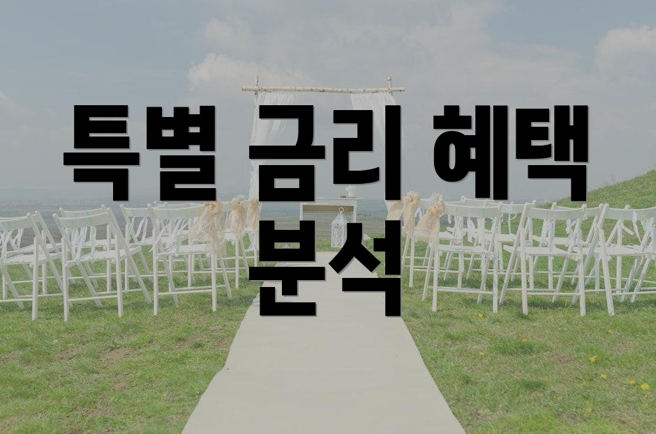특별 금리 혜택 분석