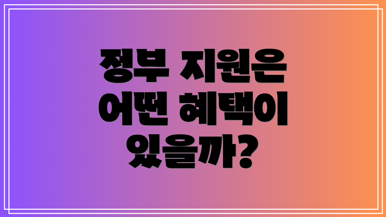 정부 지원은 어떤 혜택이 있을까?