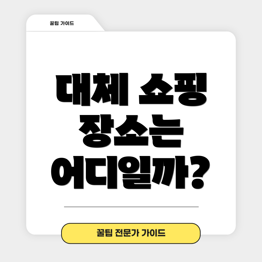 대체 쇼핑 장소는 어디일까?