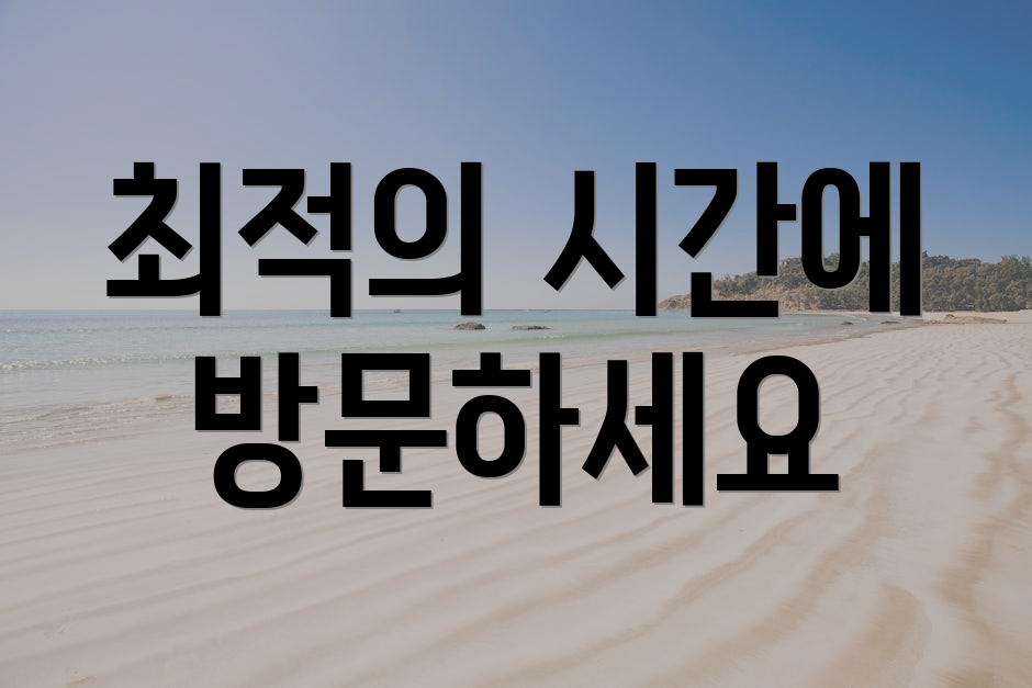 최적의 시간에 방문하세요