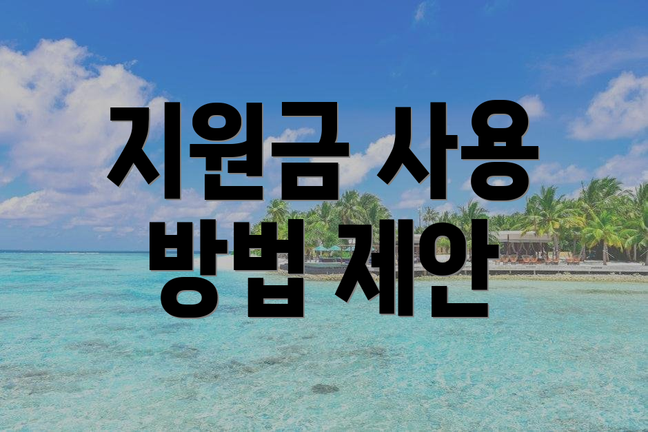 지원금 사용 방법 제안