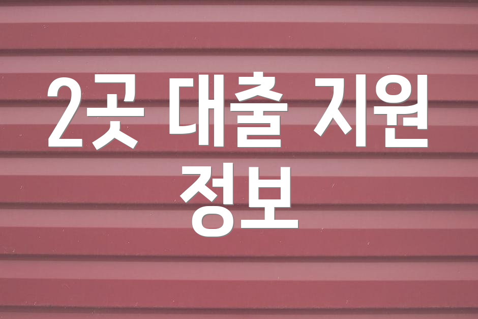 2곳 대출 지원 정보