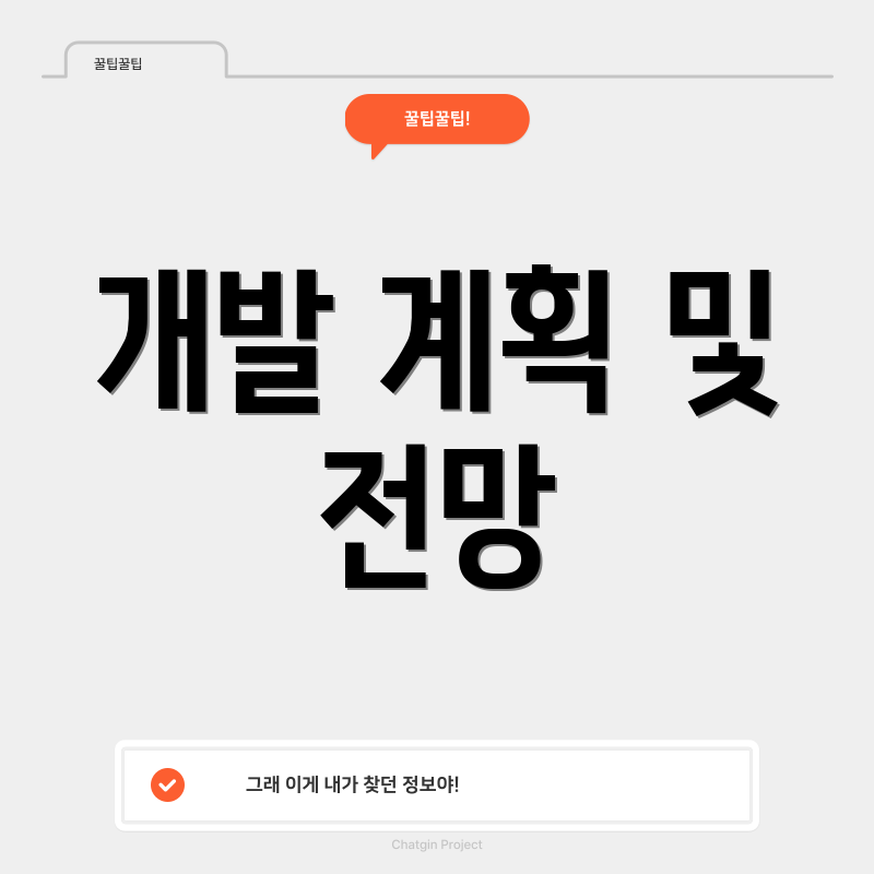 개발 계획 및 전망