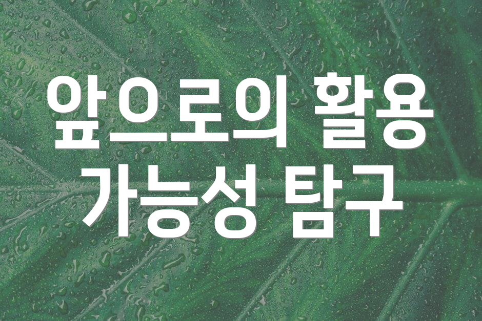 앞으로의 활용 가능성 탐구