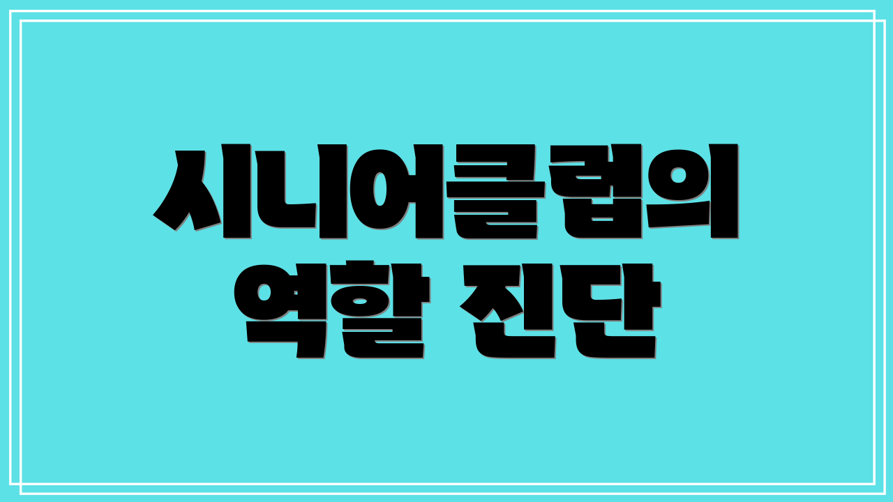 시니어클럽의 역할 진단