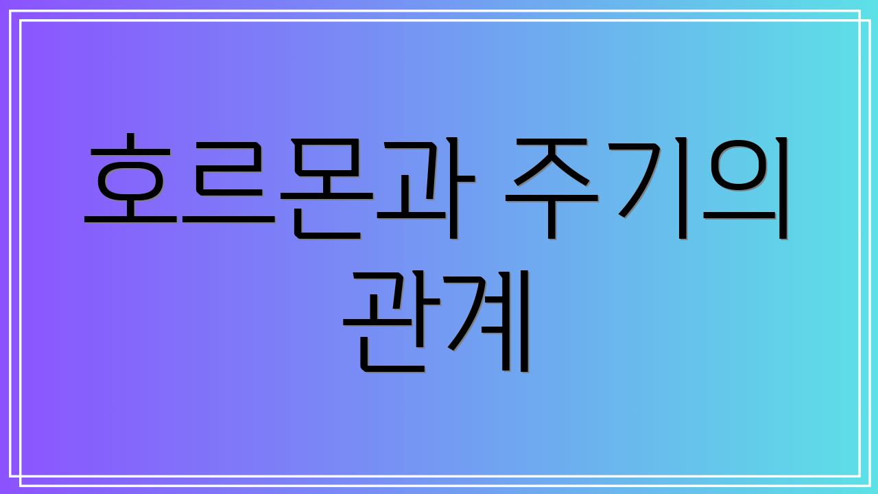 호르몬과 주기의 관계