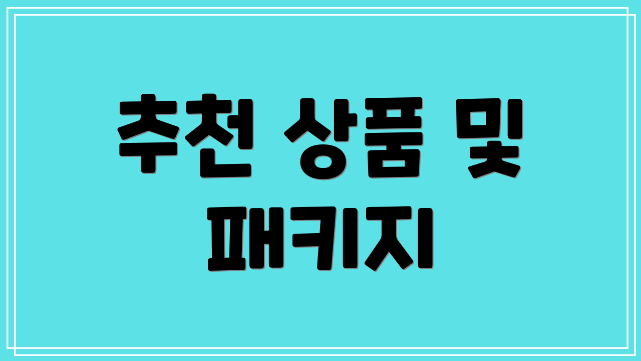 추천 상품 및 패키지