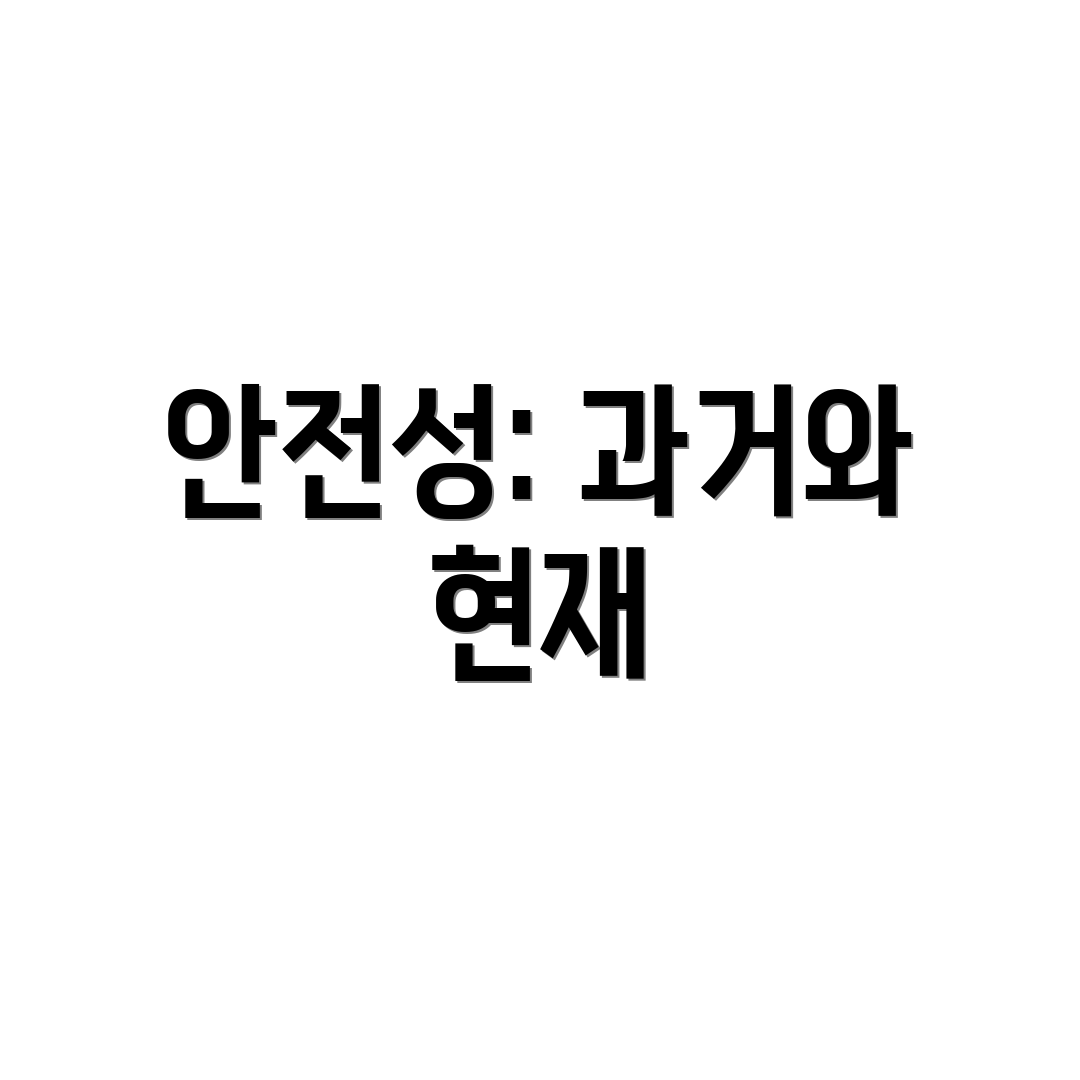 안전성: 과거와 현재