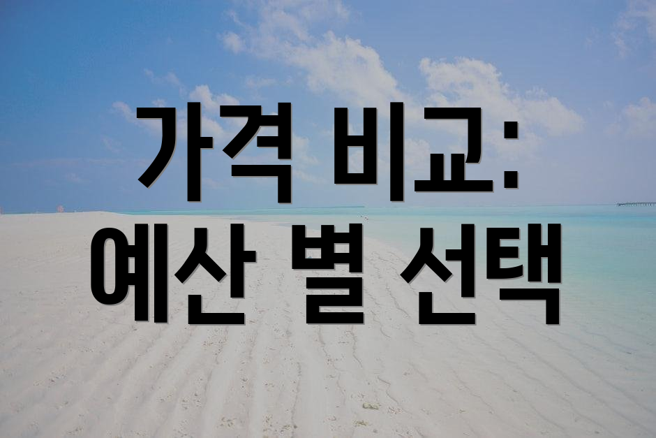 가격 비교: 예산 별 선택